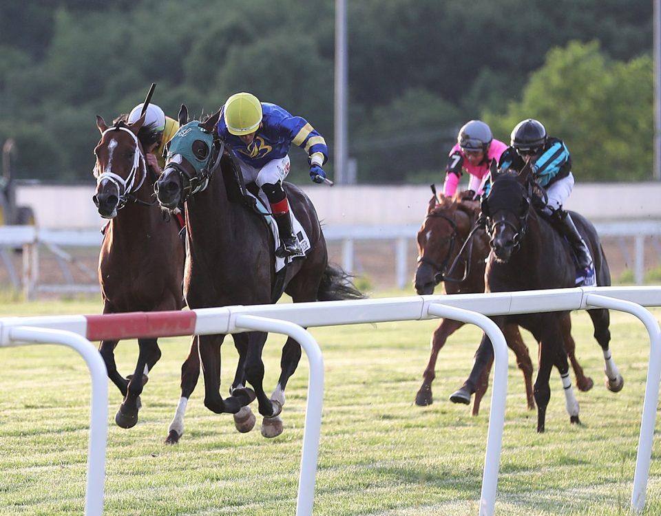 Wow Whata Summer - Penn Mile - Bill Denver/EQUI-PHOTO