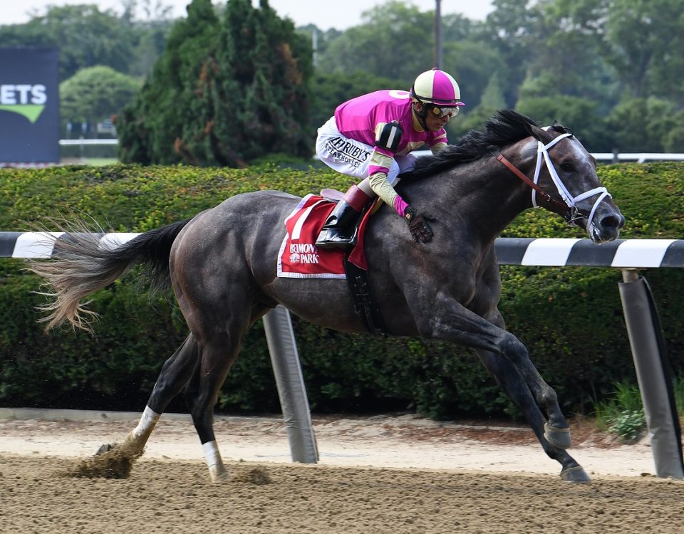 Charge It - Dwyer S. - Susie Raisher/NYRA