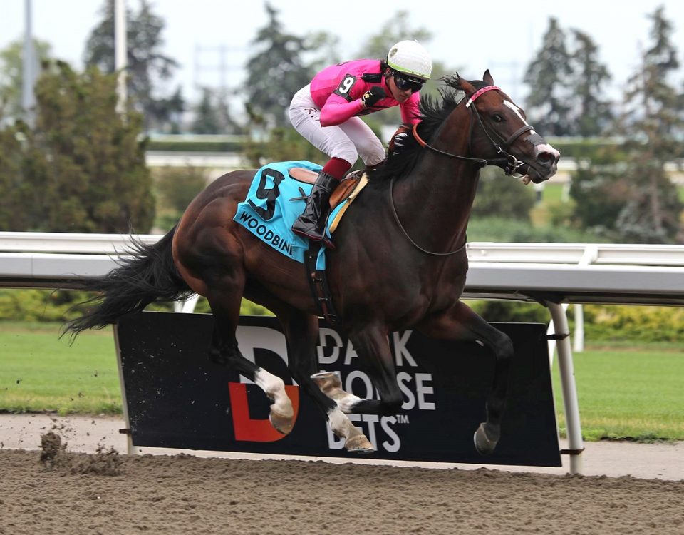 Frosted Over - Dominion Day S. - Julie Wright