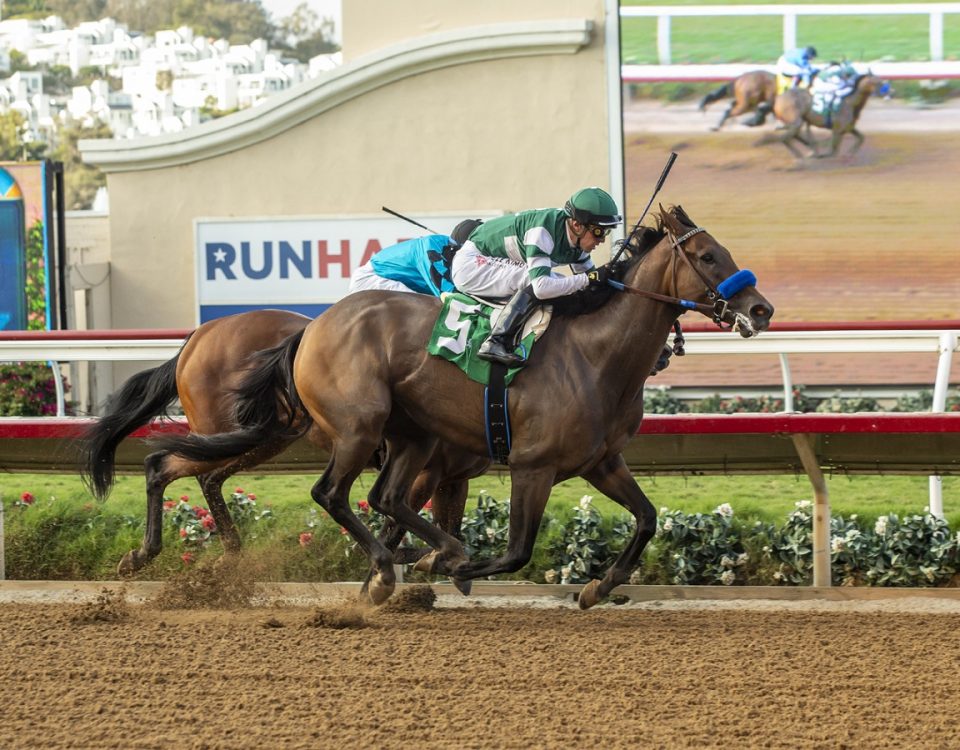Edgeway - Rancho Bernardo H. - Benoit Photo