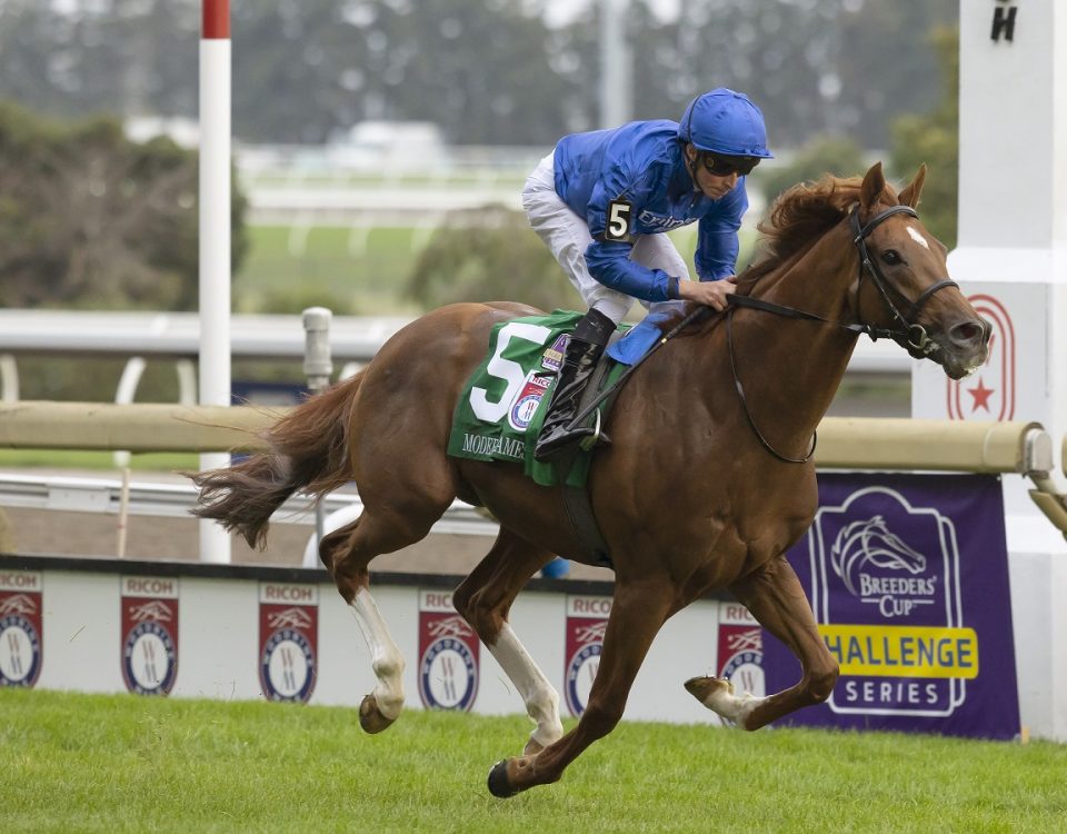 Modern Games - Woodbine Mile - Michael Burns