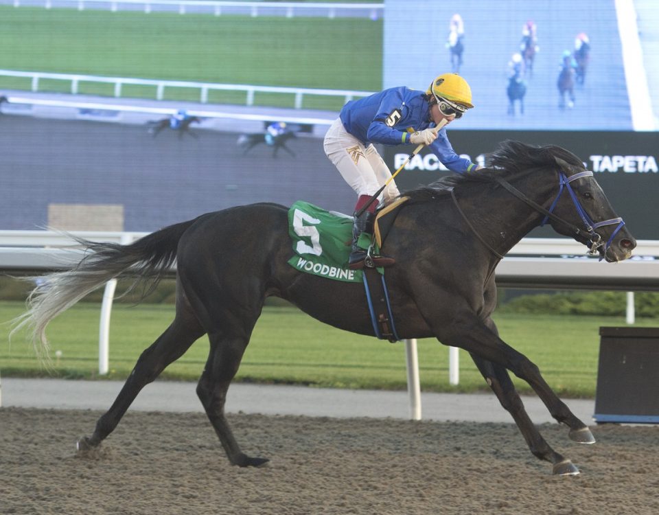 Ironstone - Ontario Derby - Michael Burns Photo