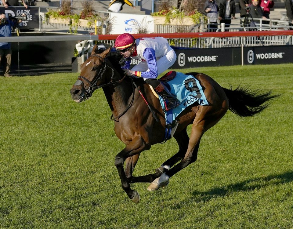 Sir for Sure - Breeders' S. - Michael Burns