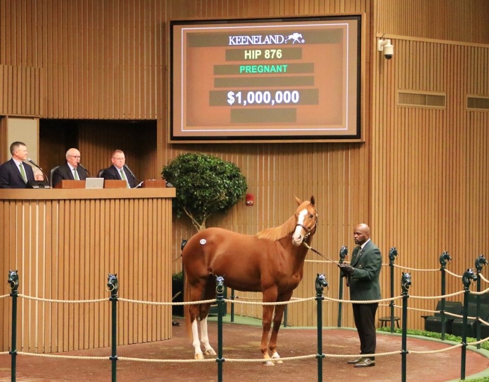 Proud Emma - Keeneland Sales - Coady Photography