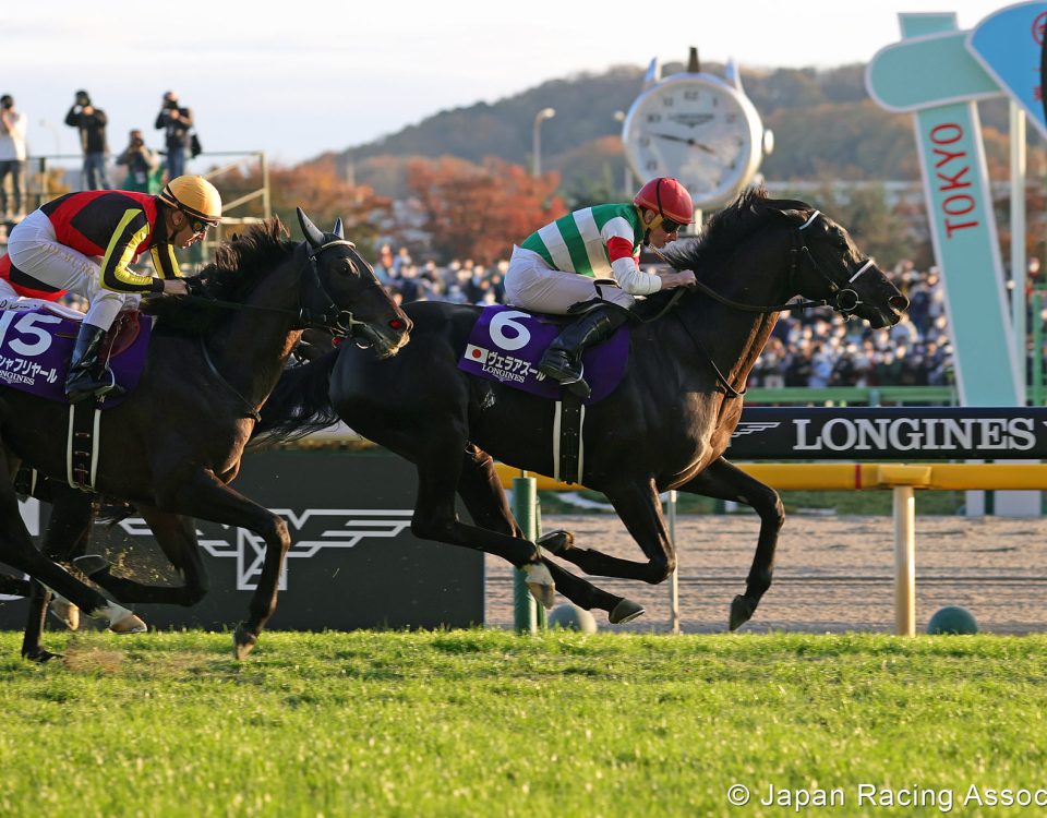 Vela Azul Shines in Japan Cup - Photo Japan Racing Association