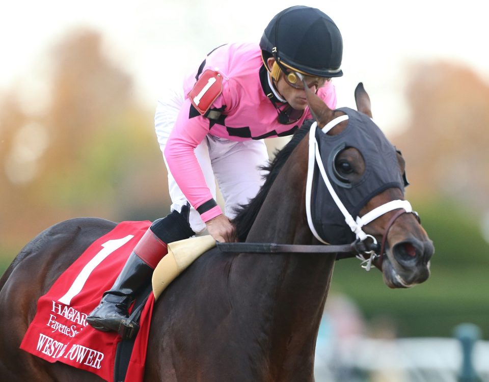 WEST WILL POWER - The Hagyard Fayette - Coady Photo