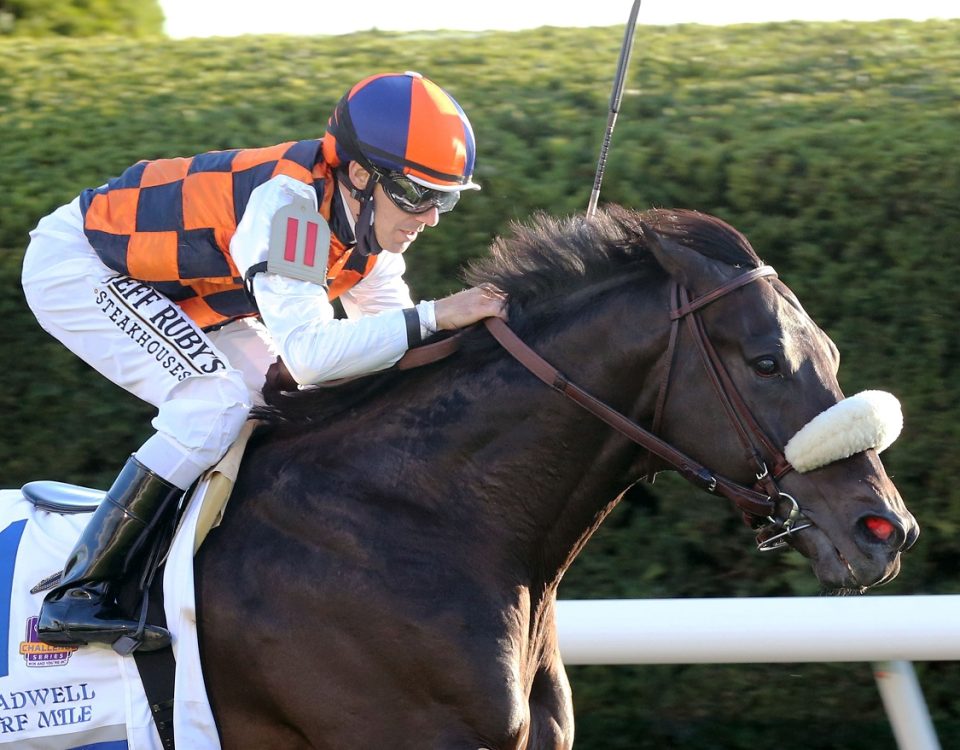 Ivar - Shadwell Turf Mile - Coady Photography
