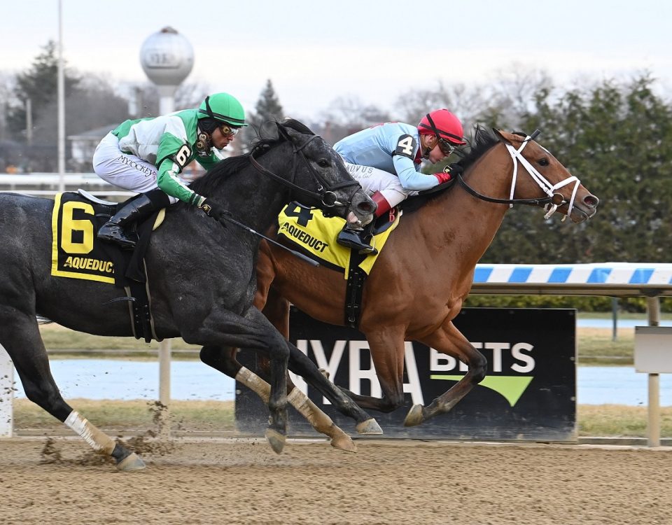 Lugan Knight - Jerome S. - Susie Raisher - Coglianese Photo