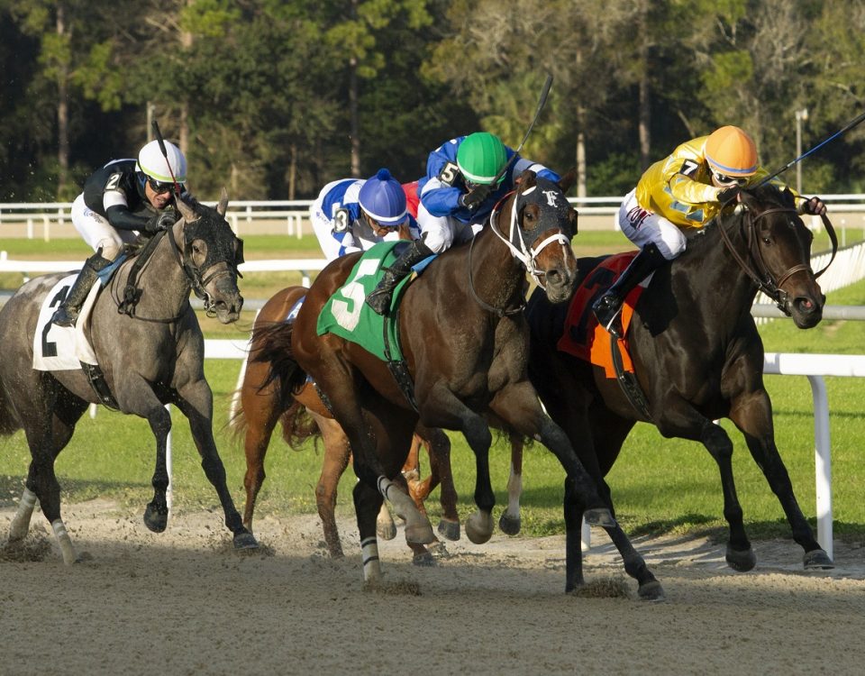 Opus Forty Two - Gasparilla S. - Tom Keyser