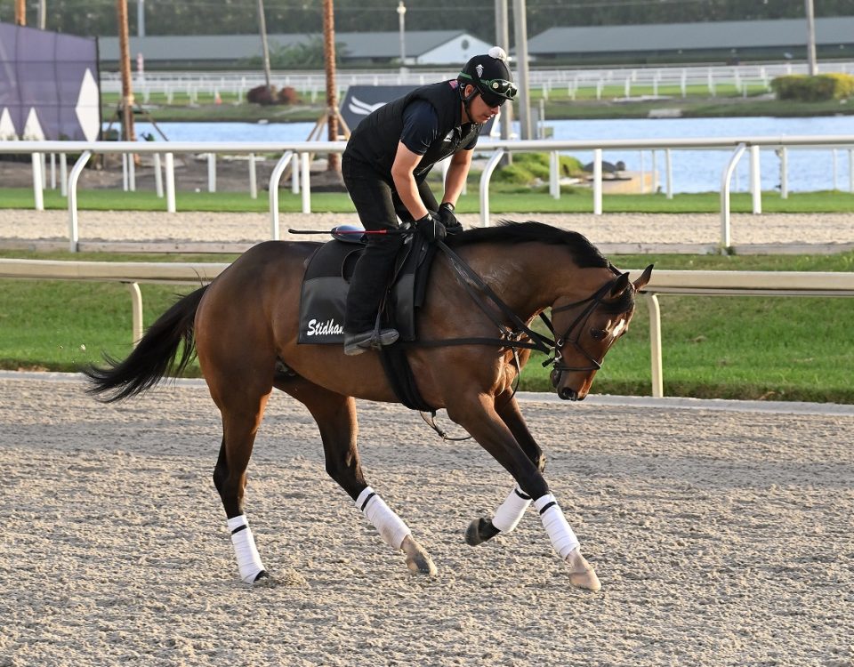 Proxy - Gulfstream Park - Lauren King-Coglianese Photo