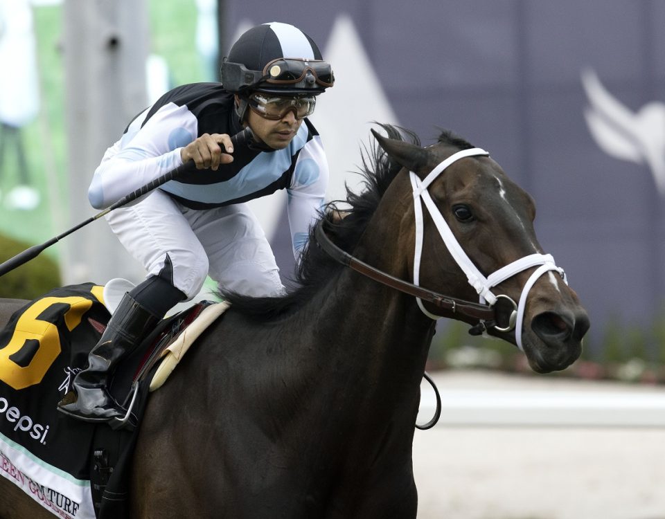 Queen Goddess - PWC Filly and Mare Turf - Barbara D. Livingston