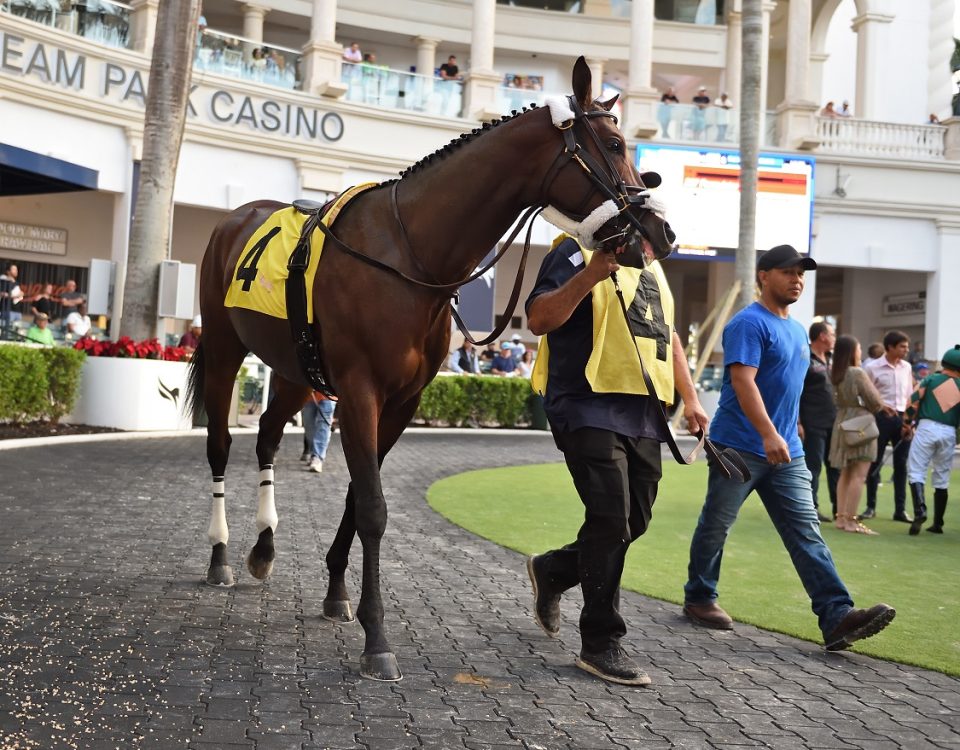 Super Corinto - Gulfstream Park - Ryan Thompson