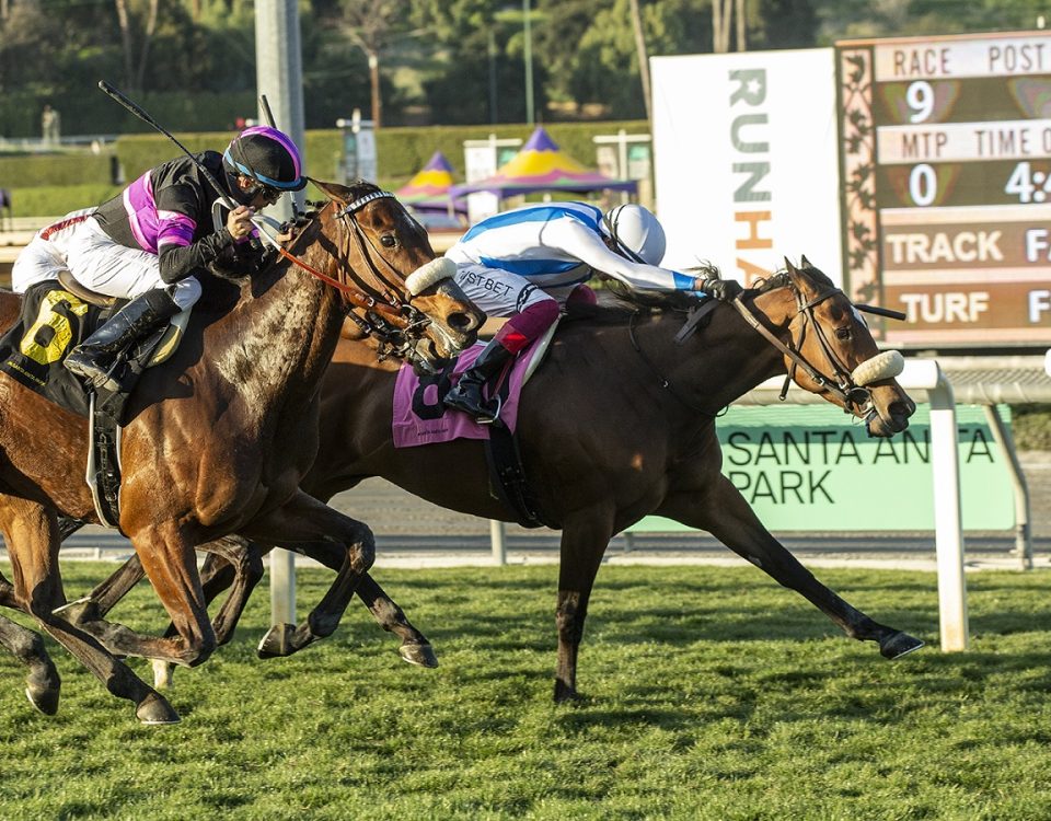 Freedom Flyer - Wishing Well S. - Benoit Photo