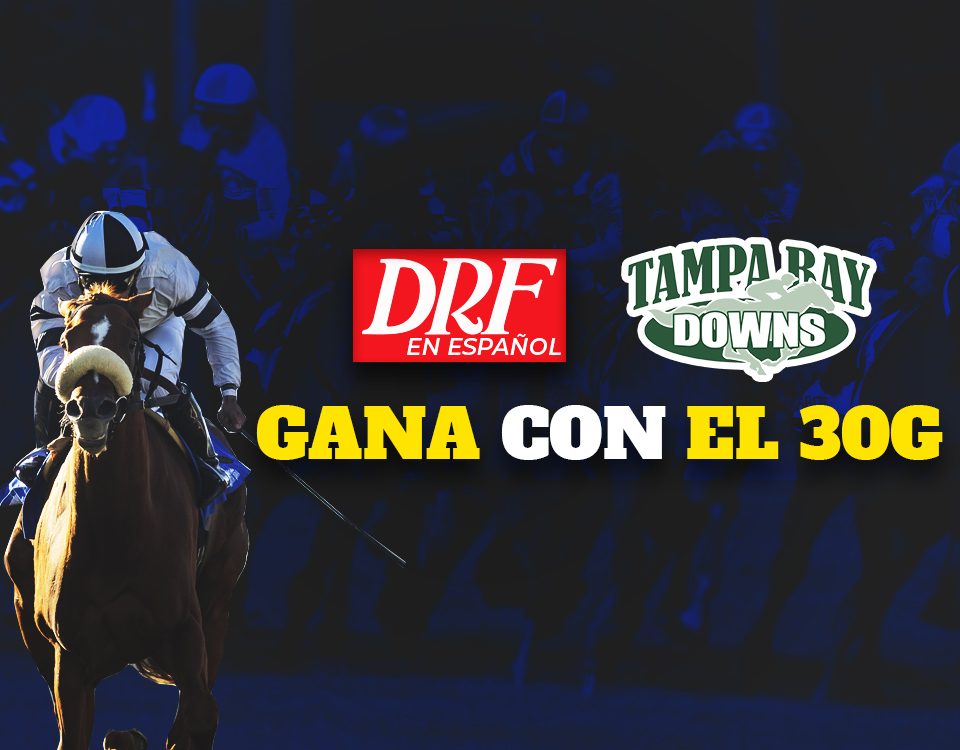 Gana con el 30G - Tampa Bay Downs