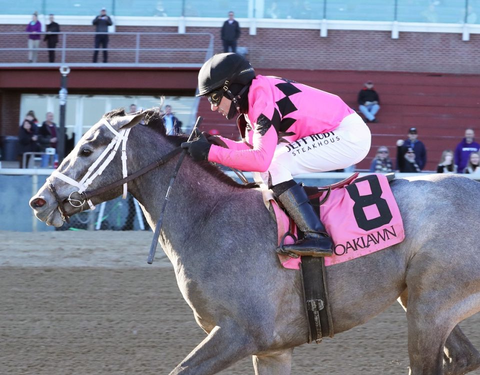 Hit Show - Oaklawn - Coady Photography