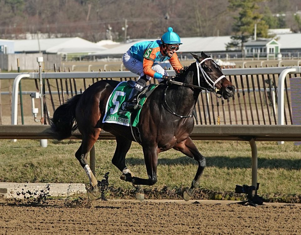 Swayin to and Fro - Barbara Fritchie S. - Jeffrey Snyder-MD Jockey Club