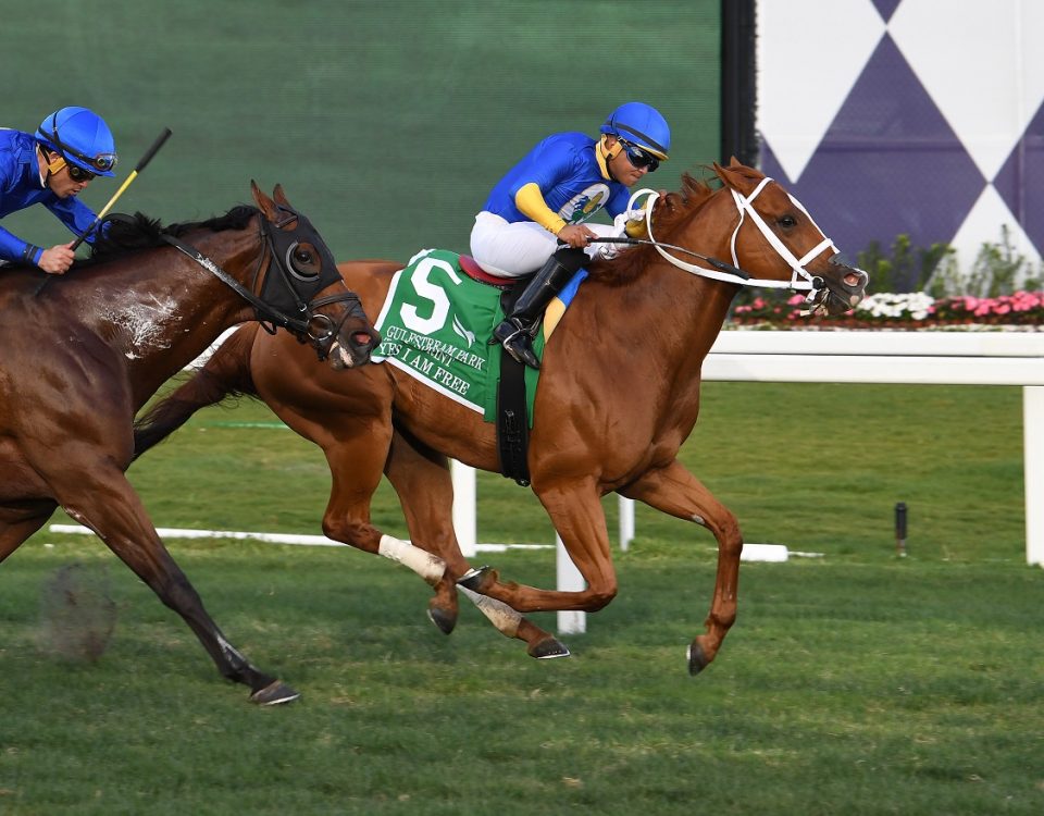 Yes I Am Free - GP Turf Sprint - Lauren King