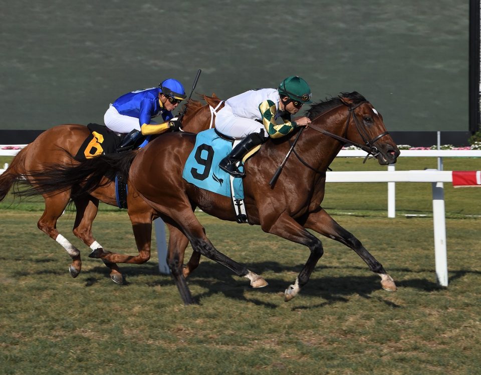 Big Invasion - Silks Run S. - Lauren King