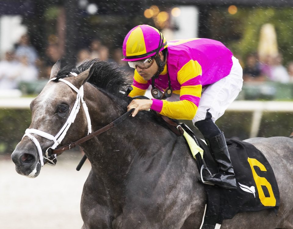 Charge It - Gulfstream Park - Barbara D. Livingston
