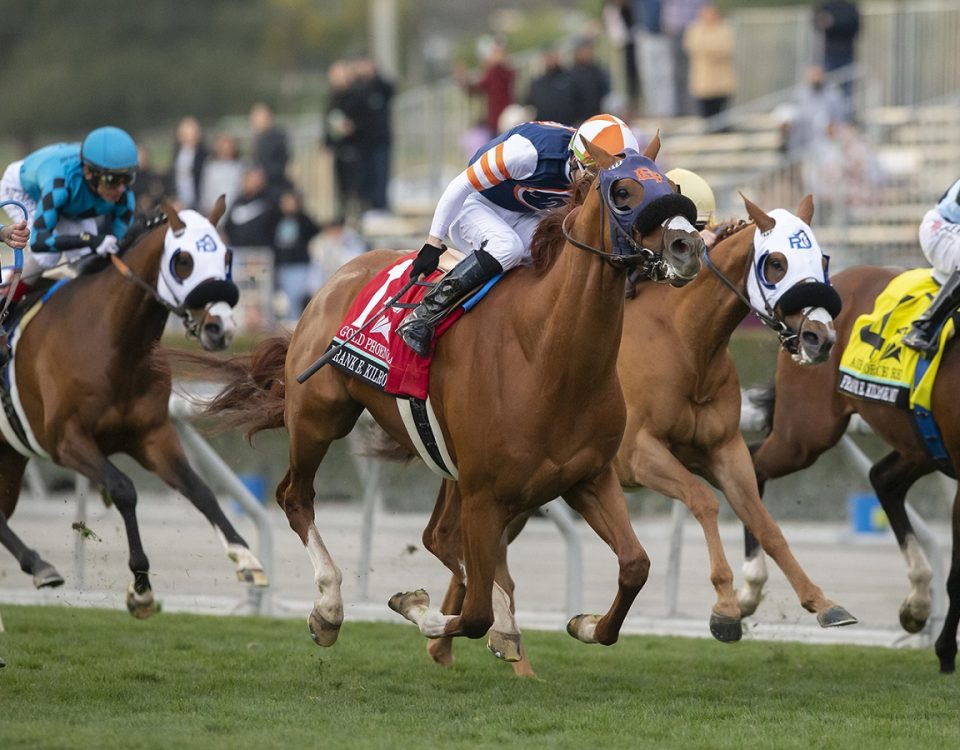 Gold Phoenix - Frank E. Kilroe Mile - Benoit Photo