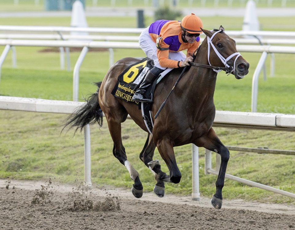 Kingsbarns - Louisiana Derby - Barbara D. Livingston