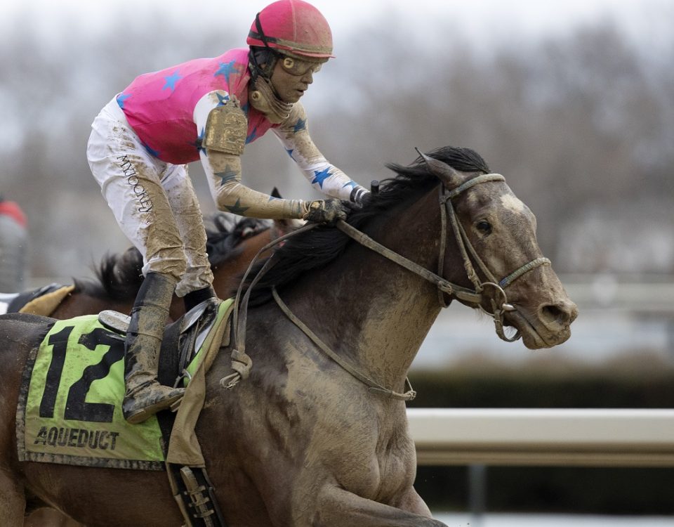 Raise Cain - Gotham Stakes - Barbara D. Livingston