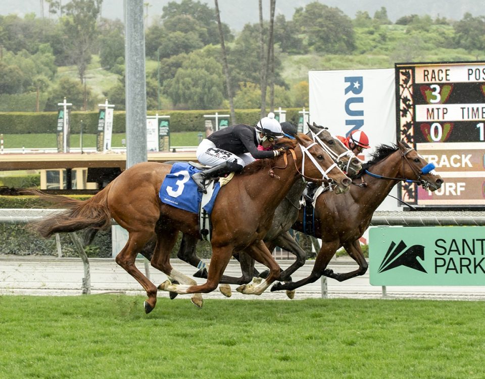 The Chosen Vron - Sensational Star S. - Benoit Photo