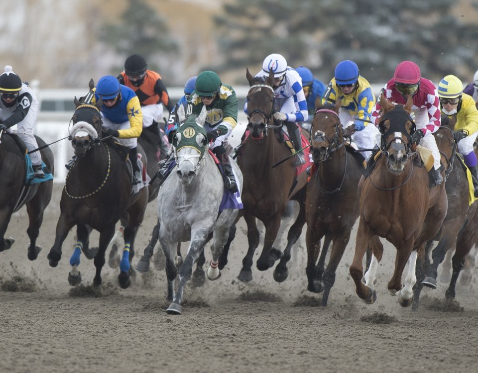 Woodbine Racetrack - foto crédito Michael Burns