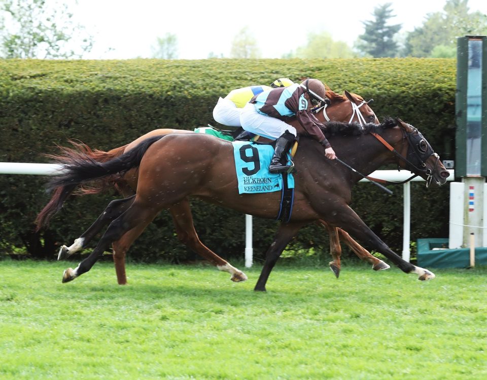 Verstappen - Elkhorn S. - Coady Photography