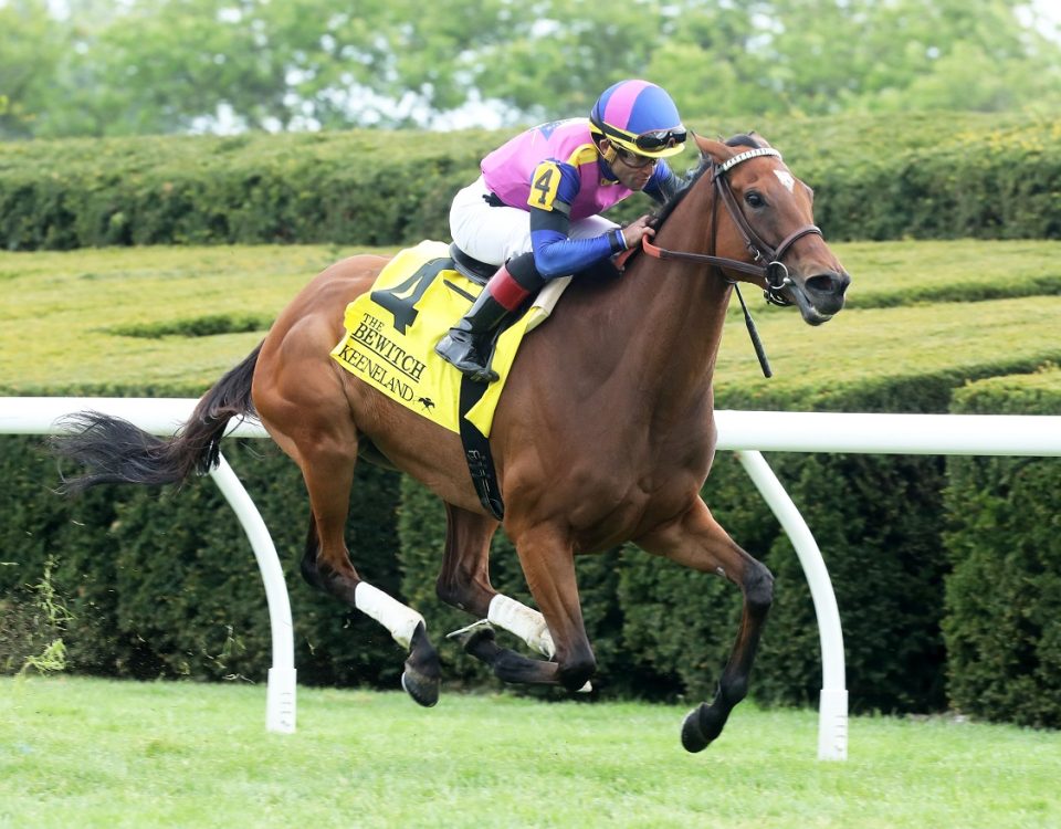 War Like Goddess - Bewitch Stakes - Coady Photography