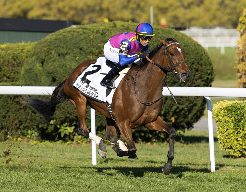 War Like Goddess - Joe Hirsch Turf Classic - Barbara D. Livingston