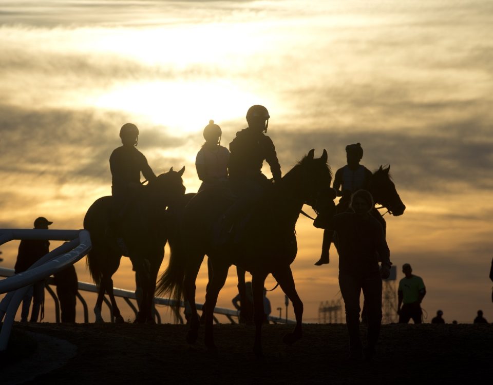 Woodbine mornings - Michael Burns photo