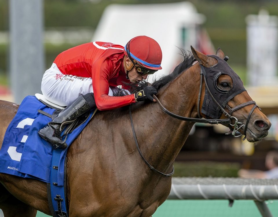 Dicey Mo Chara - San Gabriel S. - Benoit Photo
