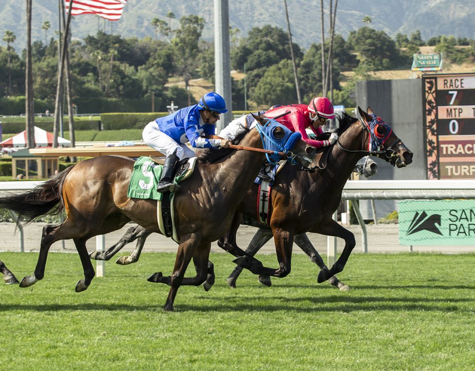 Fast Buck - Grade III $100,000 Daytona Stakes - Santa Anita Park - Benoit Photo.