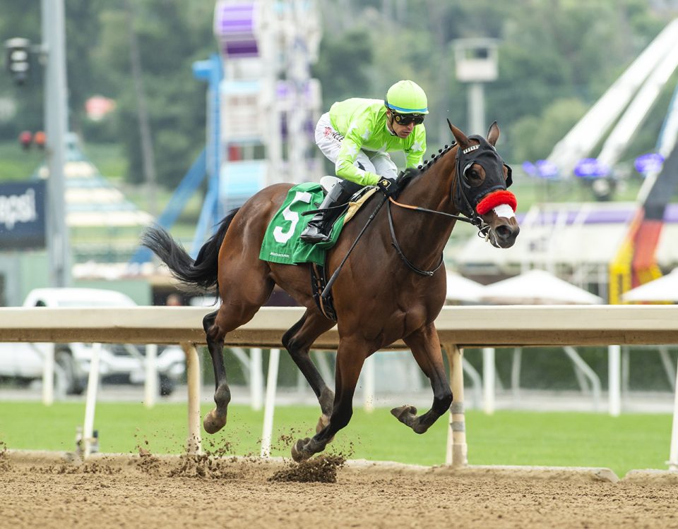 Ceiling Crusher - Melair Stakes - Santa Anita Park - crédito Benoit Photo