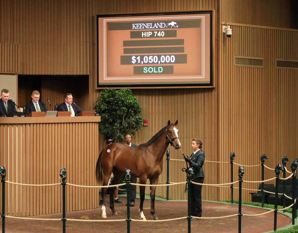 Mirahmadi - Hip740 - Keeneland Sales Sep2022 - Foto Keeneland Photo