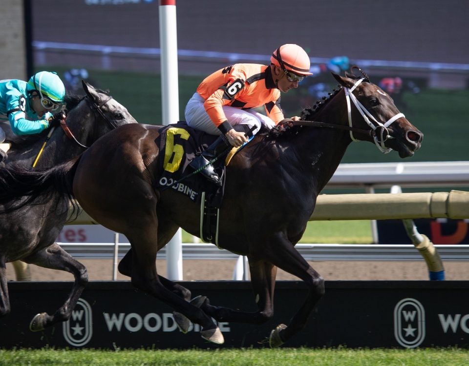 Mohawk Trail - Alywow Stakes - Credit - Julie Wright