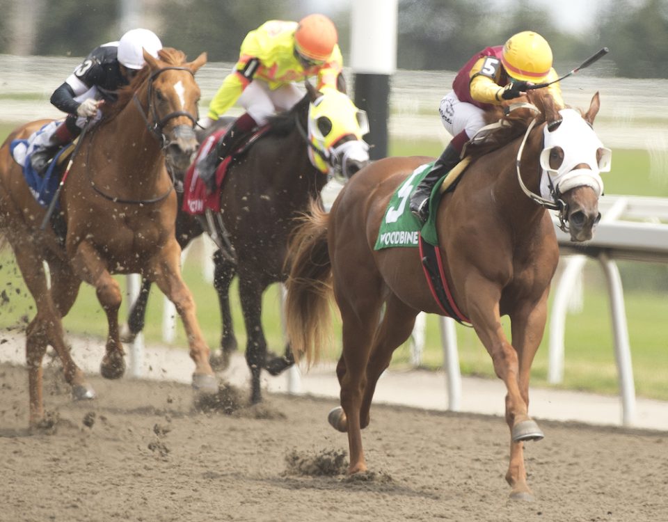 Poulin in O T - Victoria Stakes (Woodbine) - Credit: Michael Burns Photo