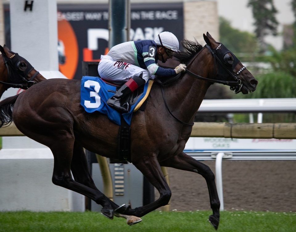 Dream Shake - Connaught Cup - Julie Wright