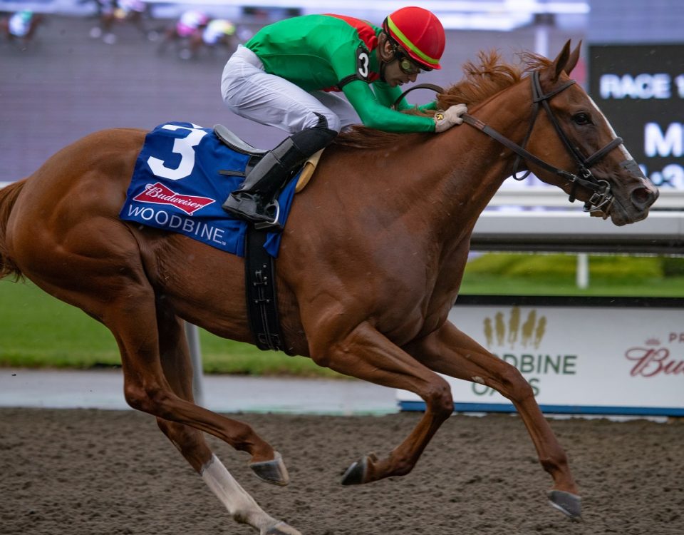 Elysian Field - Woodbine Oaks - Julie Wright