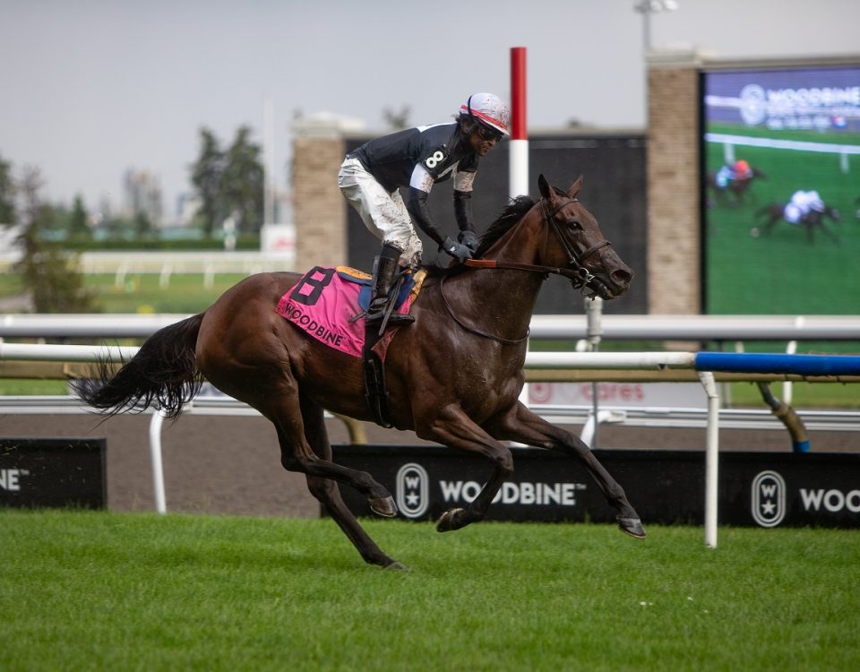 Fev Rover - Nassau Stakes - Julie Wright