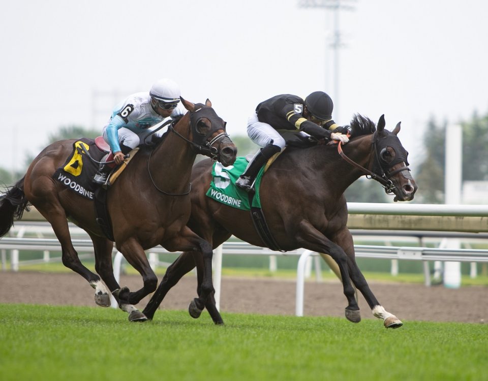 Lucky Score - Highlander Stakes - Julie Wright