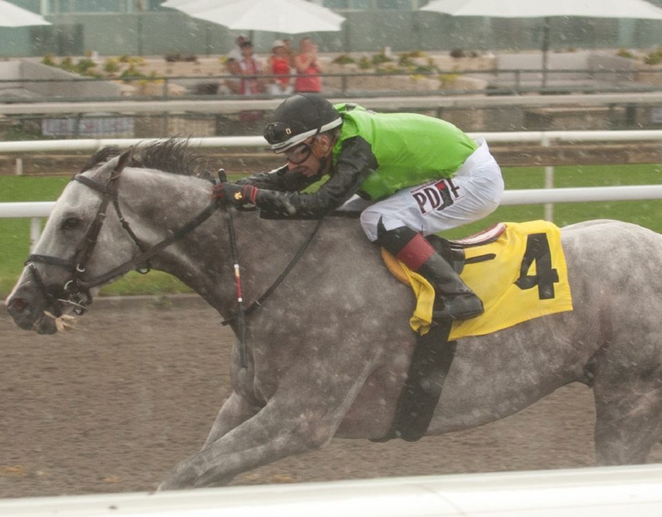 Tyson - Dominion Day S. - Michael Burns