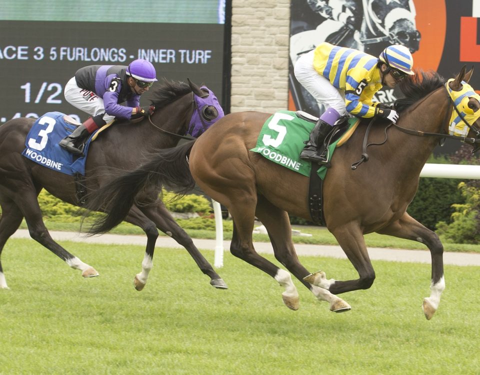 Woodbine Lake Huron Stakes Patches O'Houlihan - Foto Michael Burns