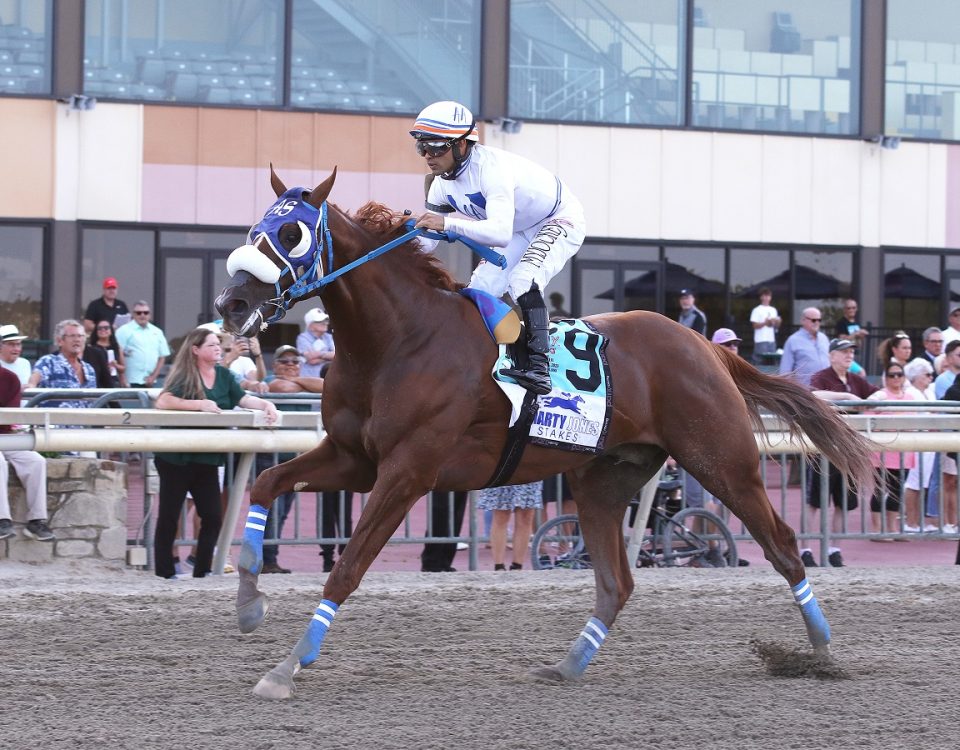 Il Miracolo - Smarty Jones S. - Bill Denver/EQUI-PHOTO