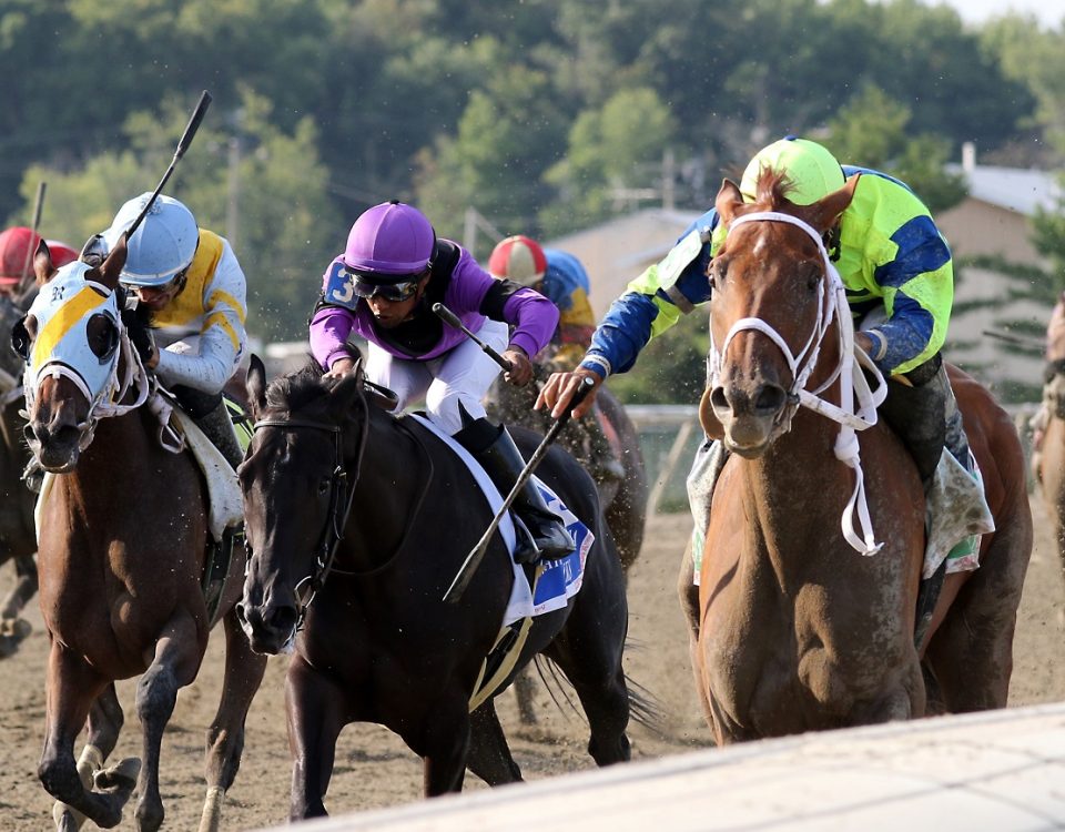 Bill Denver-EQUI-PHOTO - Parx Racing