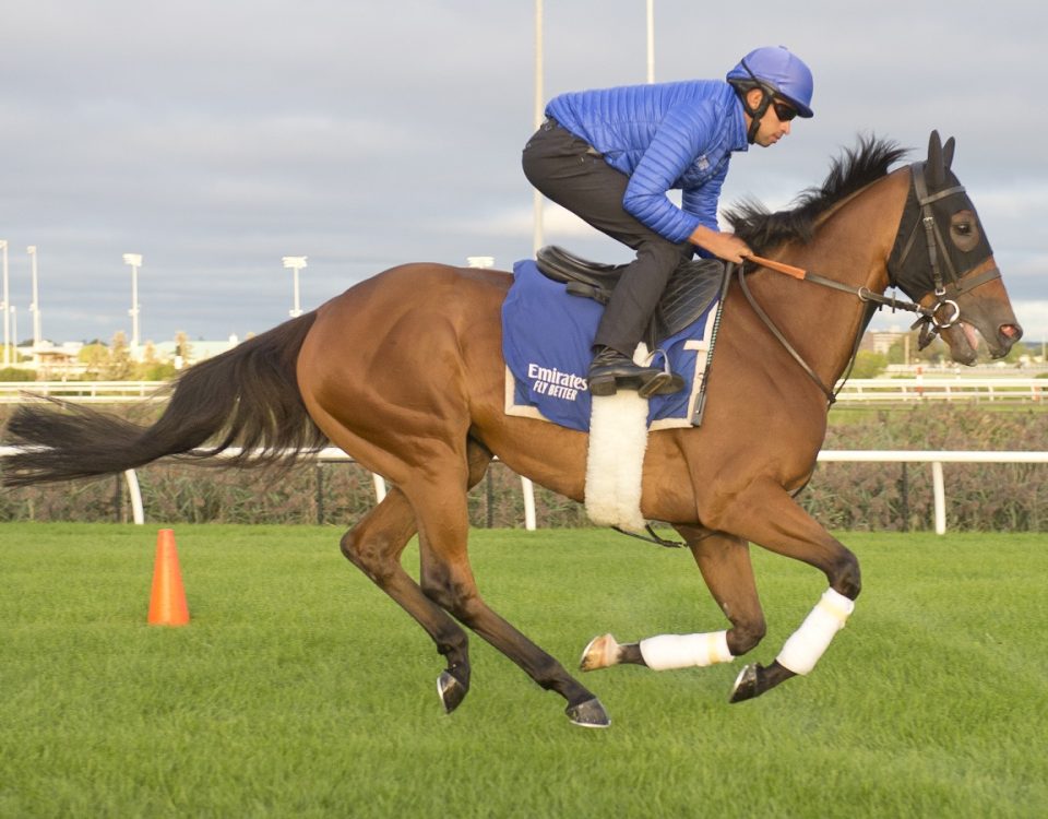 Master of The Seas - Woodbine - Michael Burns