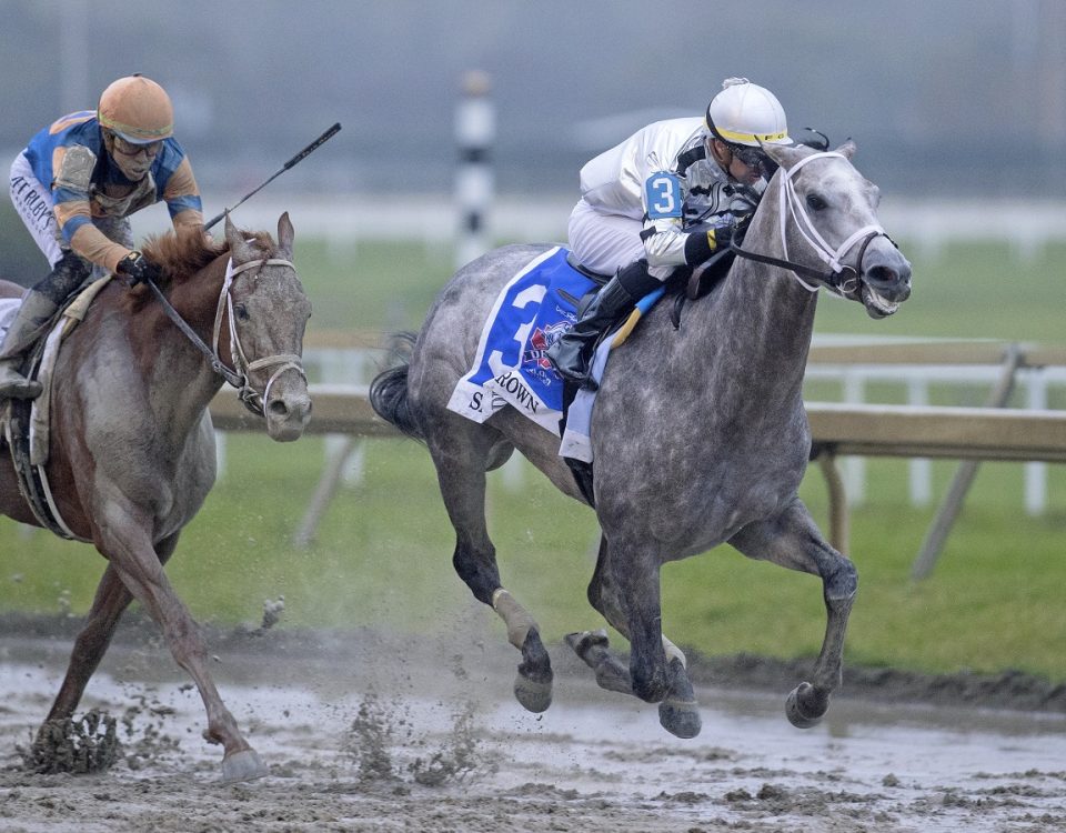 Saudi Crown - Pennsylvania Derby - Barbara D. Livingston