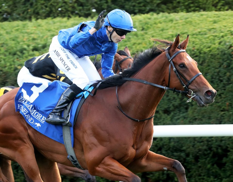 BOLD ACT - The Sycamore G3 - 29th Running - Keeneland Race Course - Coady Photo - Renee Torbit