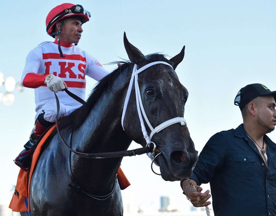 Bentornato the FSS Affirmed credit Ryan Thompson - Coglianese Photo
